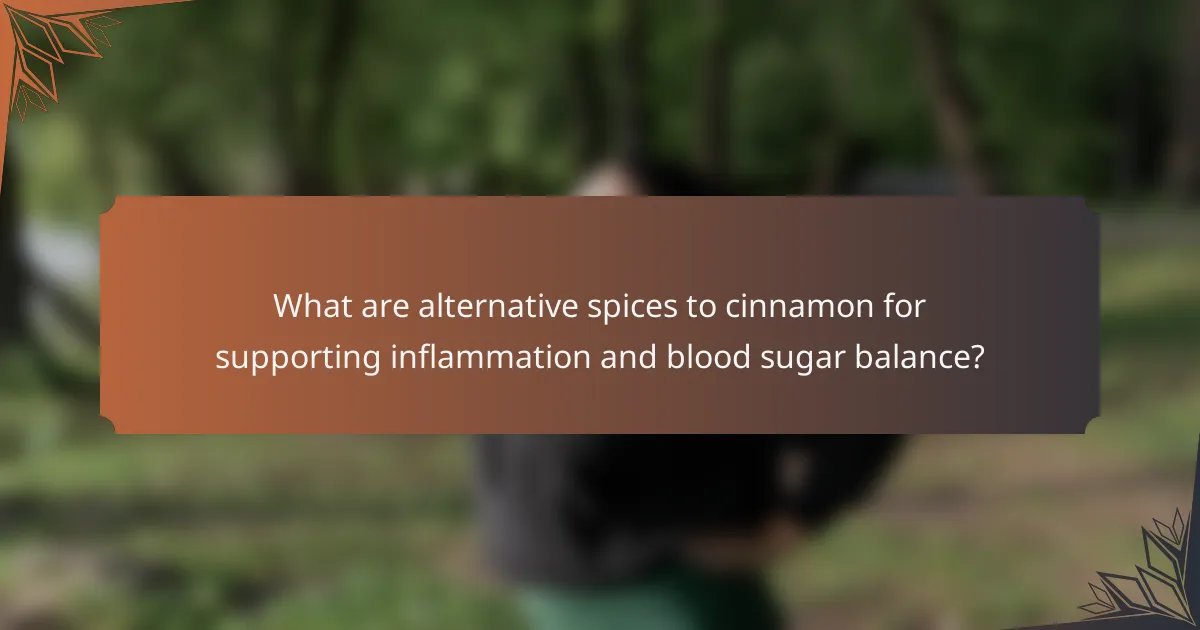What are alternative spices to cinnamon for supporting inflammation and blood sugar balance?